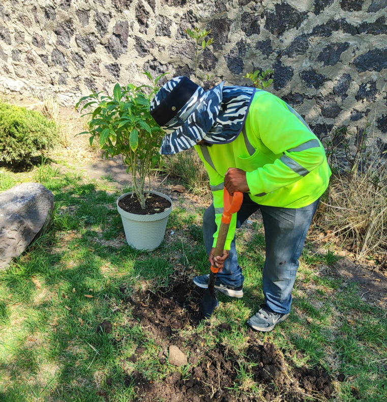 Trabajo de jardinería