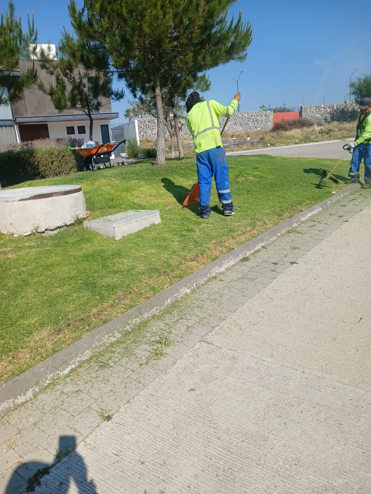 Jardinería