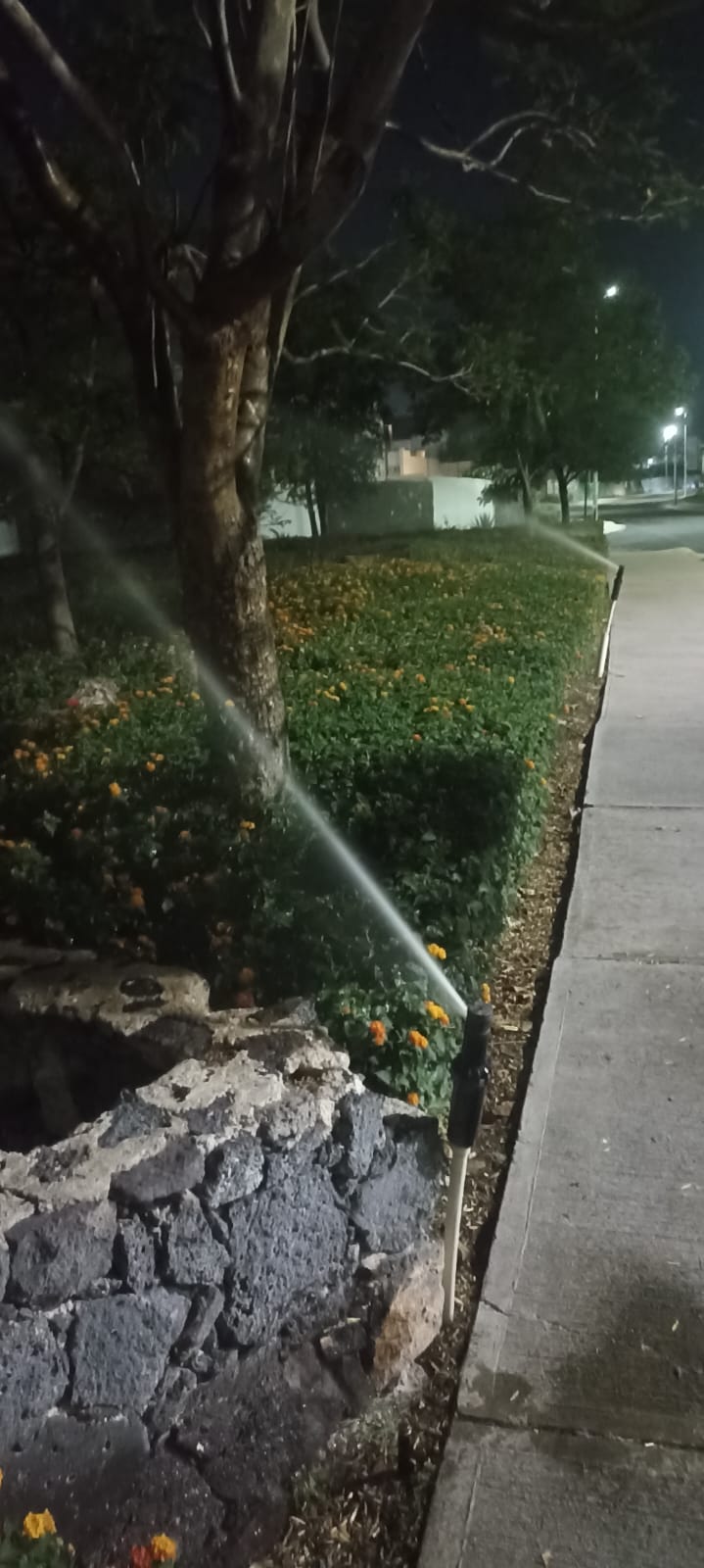 Jardinería