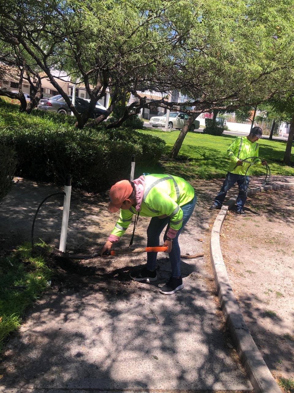 Trabajadores instalando sistema de riego